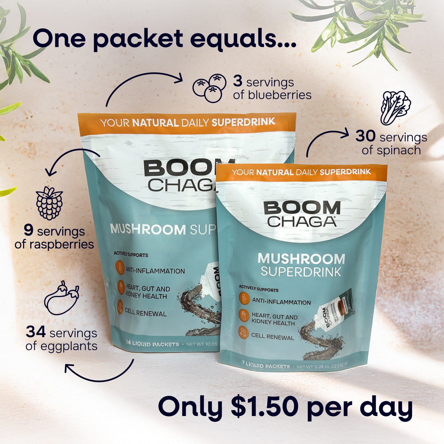 BOOM Chaga