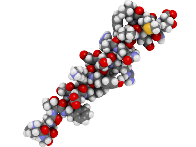 Peptides: The “Precision Signals” Behind Muscle Repair, Skin Renewal, and Daily Vitality