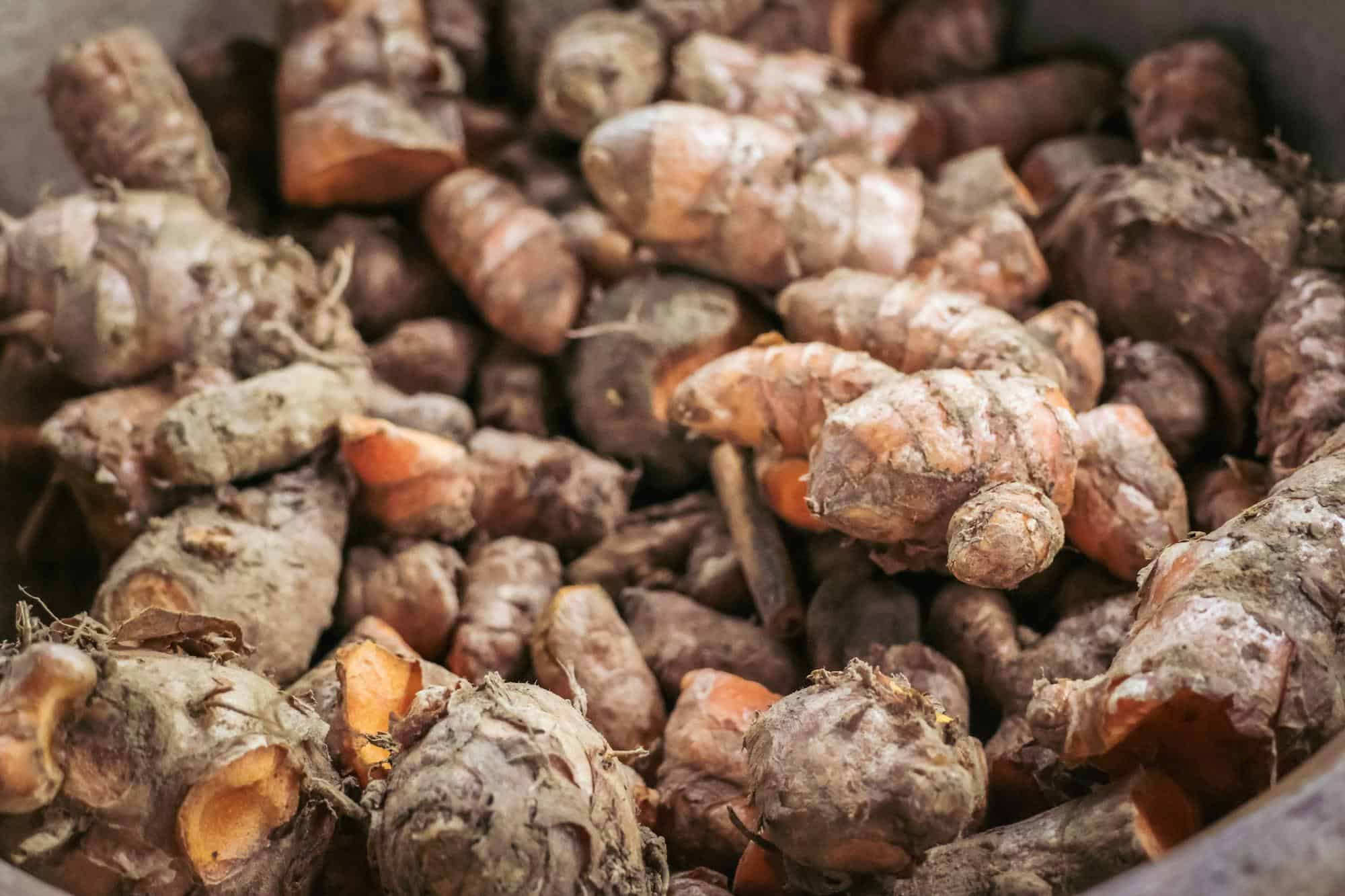 Fortify Your Defenses Naturally with BOOM Chaga