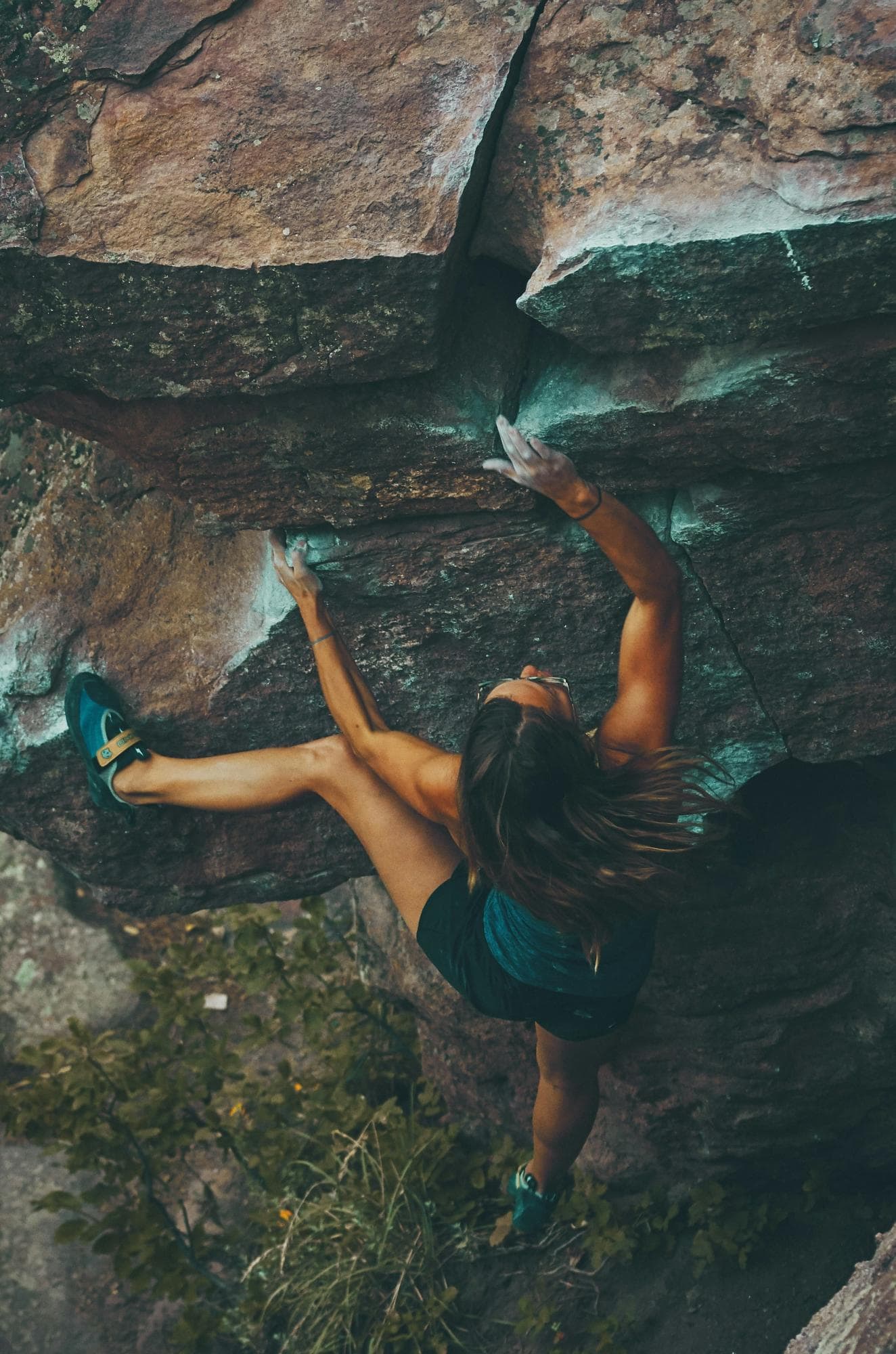 Your Immune System’s Best Ally: How BOOM Chaga Helps You Stay Strong