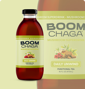 The 12-Pack Functional Mushroom Tea, Bottled