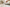 Promotion banner