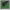 scrolling text