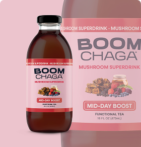 The 12-Pack Functional Mushroom Tea, Bottled