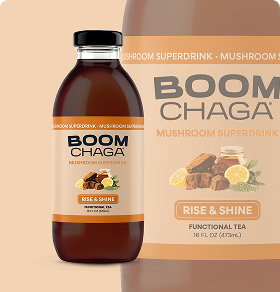 The 12-Pack Functional Mushroom Tea, Bottled