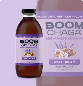 The 12-Pack Functional Mushroom Tea, Bottled